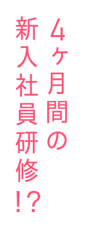 6ヶ月間の新入社員研修