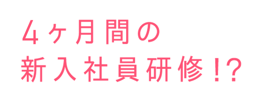 6ヶ月間の新入社員研修